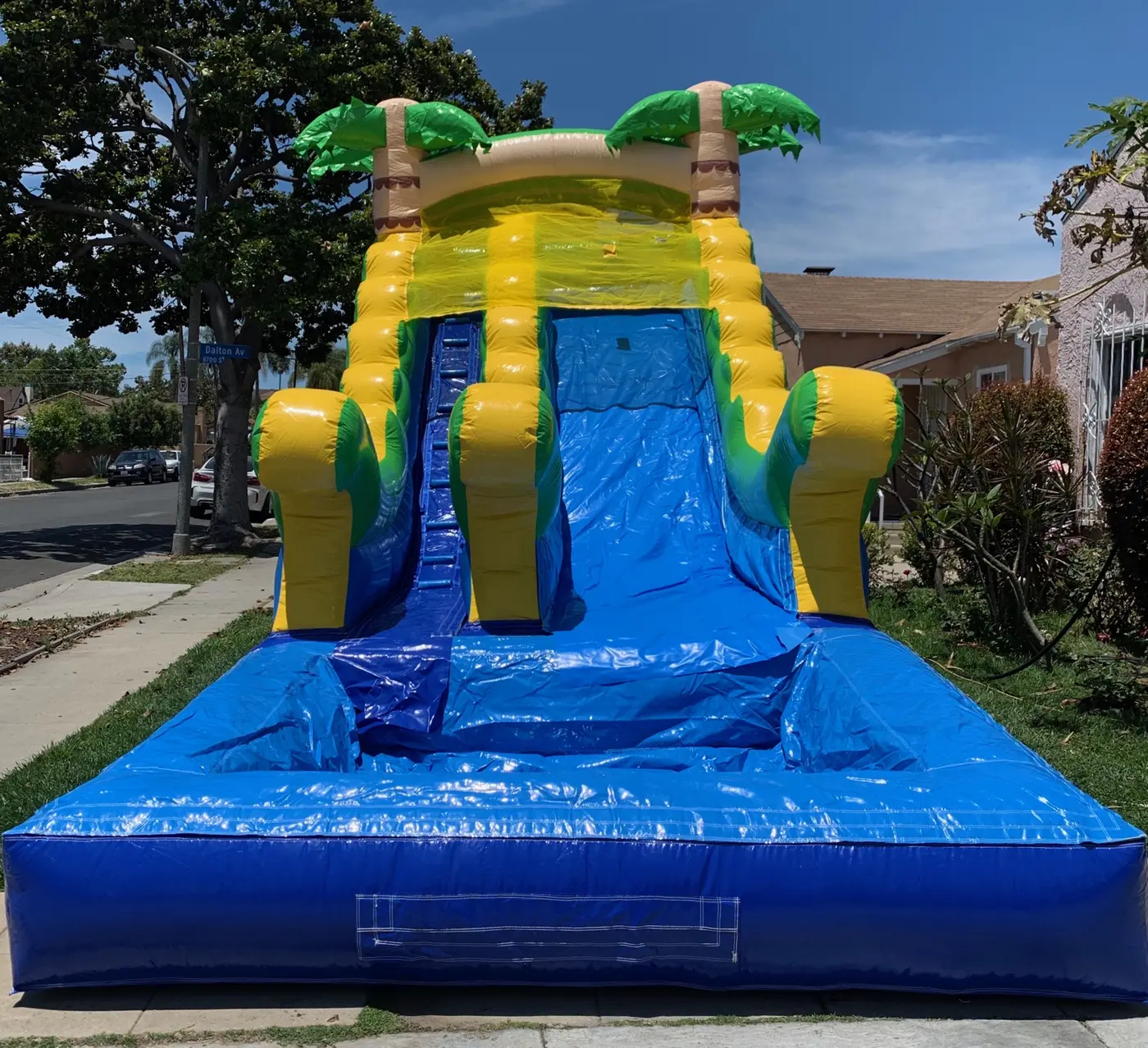 Palm tree water slide