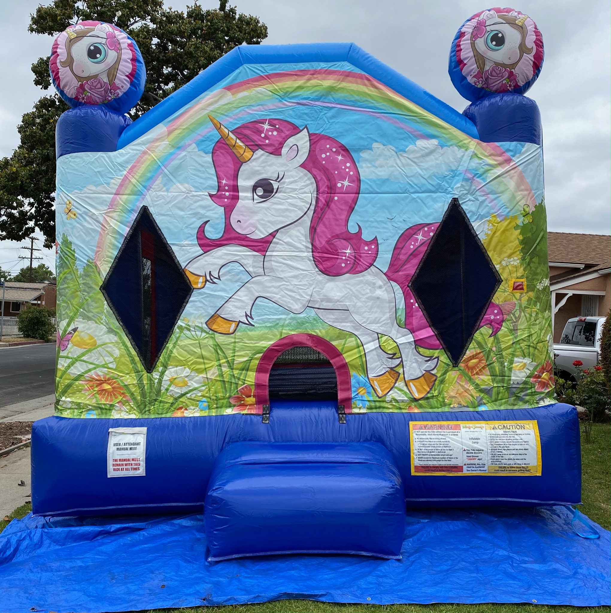 Unicorn Castle